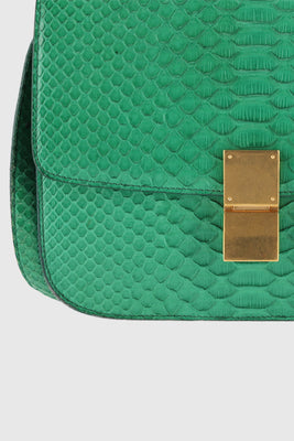 Celine Snakeskin Medium Classic Box Green - #5