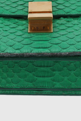 Celine Snakeskin Medium Classic Box Green - #4