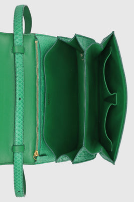 Celine Snakeskin Medium Classic Box Green - #6