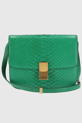 Celine Snakeskin Medium Classic Box Green - #1