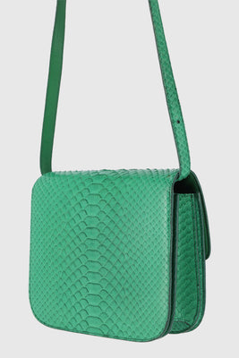 Celine Snakeskin Medium Classic Box Green - #8