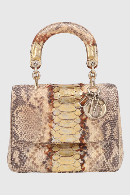 Python skin dior bag sale