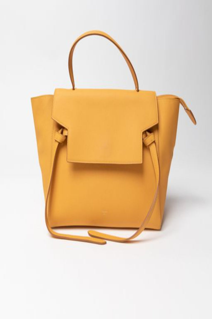 Like New Condition Celine Pico Belt Bag  Celine pico belt bag outfit, Bags,  Belt bag outfit